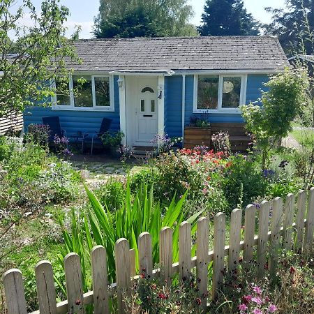 Charming Cabin Near Snowdonia National Park 卡纳芬 外观 照片